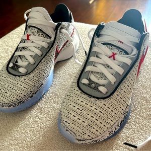 Nike Kids’ Grade School Lebron XX Basketball Shoe